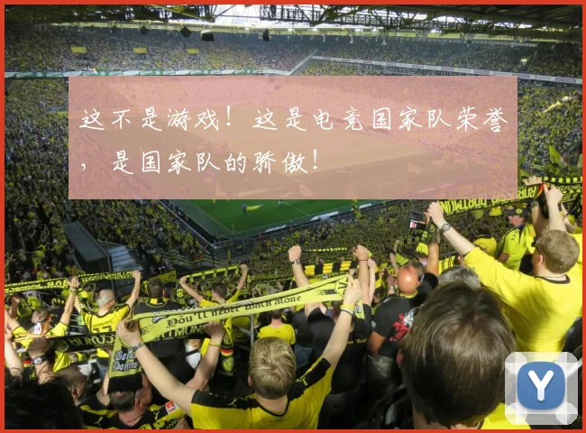 这不是游戏！这是电竞国家队荣誉，是国家队的骄傲！