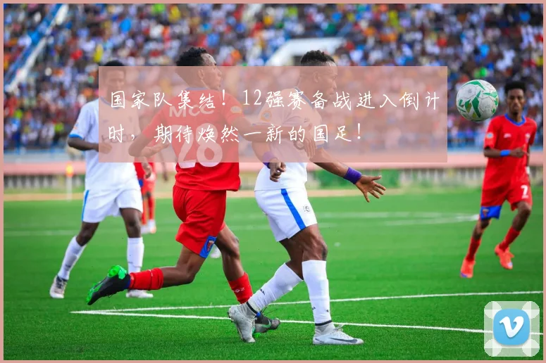 国家队集结！12强赛备战进入倒计时，期待焕然一新的国足！