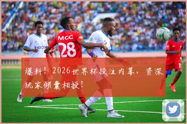 爆料！2026世界杯投注内幕，资深玩家倾囊相授！