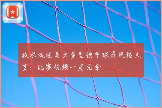 技术流还是力量型德甲球员风格大赏，比赛视频一览无余