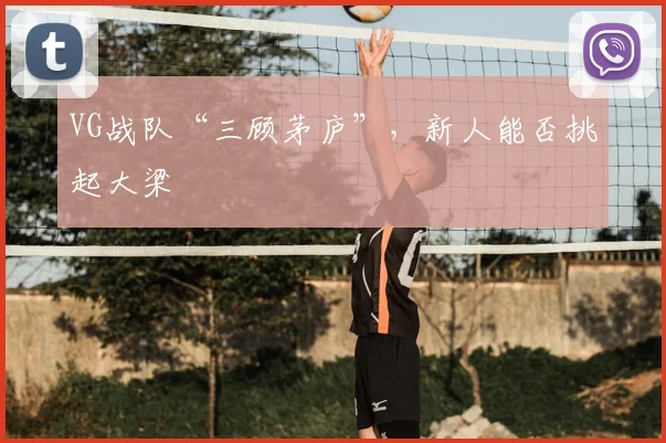 VG战队“三顾茅庐”，新人能否挑起大梁